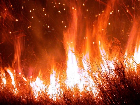 В Сибири природные пожары вновь подпалили жилые дома