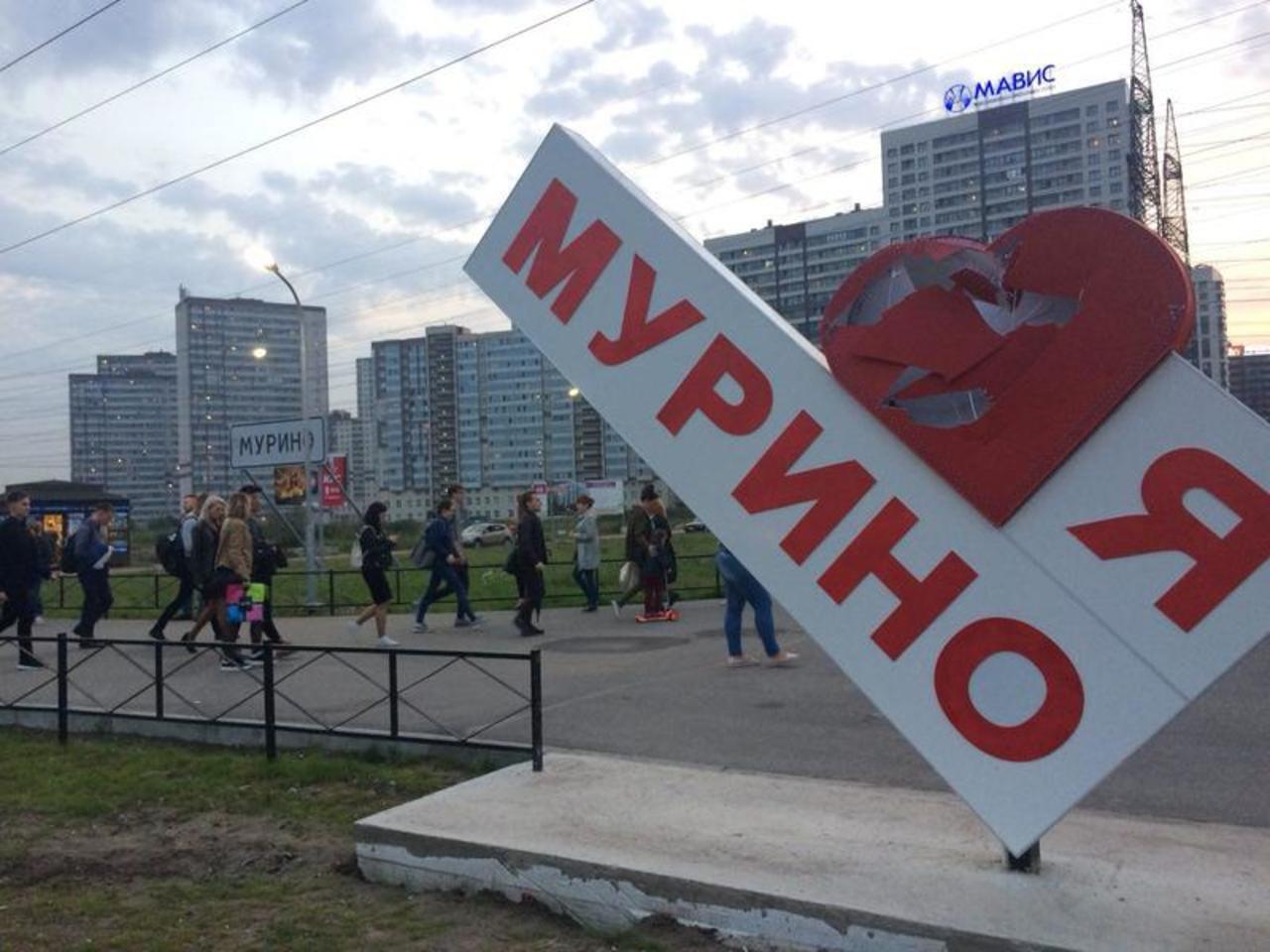 Мемы Про Мурино