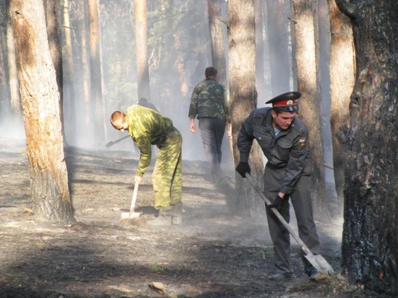 Лесной пожар разбушевался у детского санатория в Подмосковье