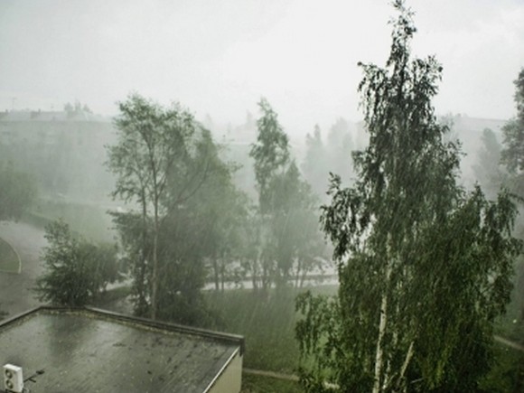 На петербурженку во время грозы обрушилась остановка (фото)