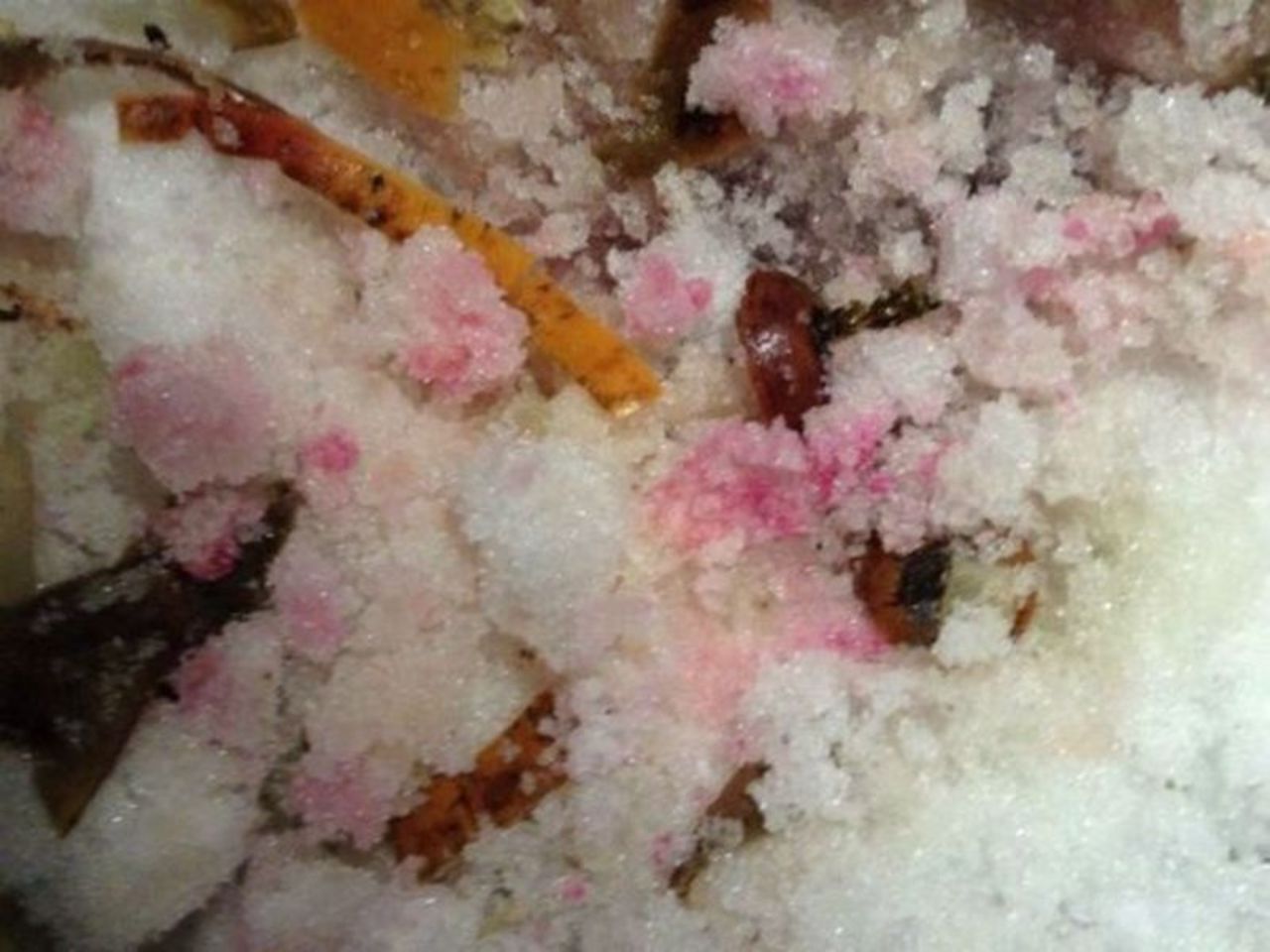 Розовый снег собаки. Розовый снег отрава для собак. Догхантер отрава для собак.