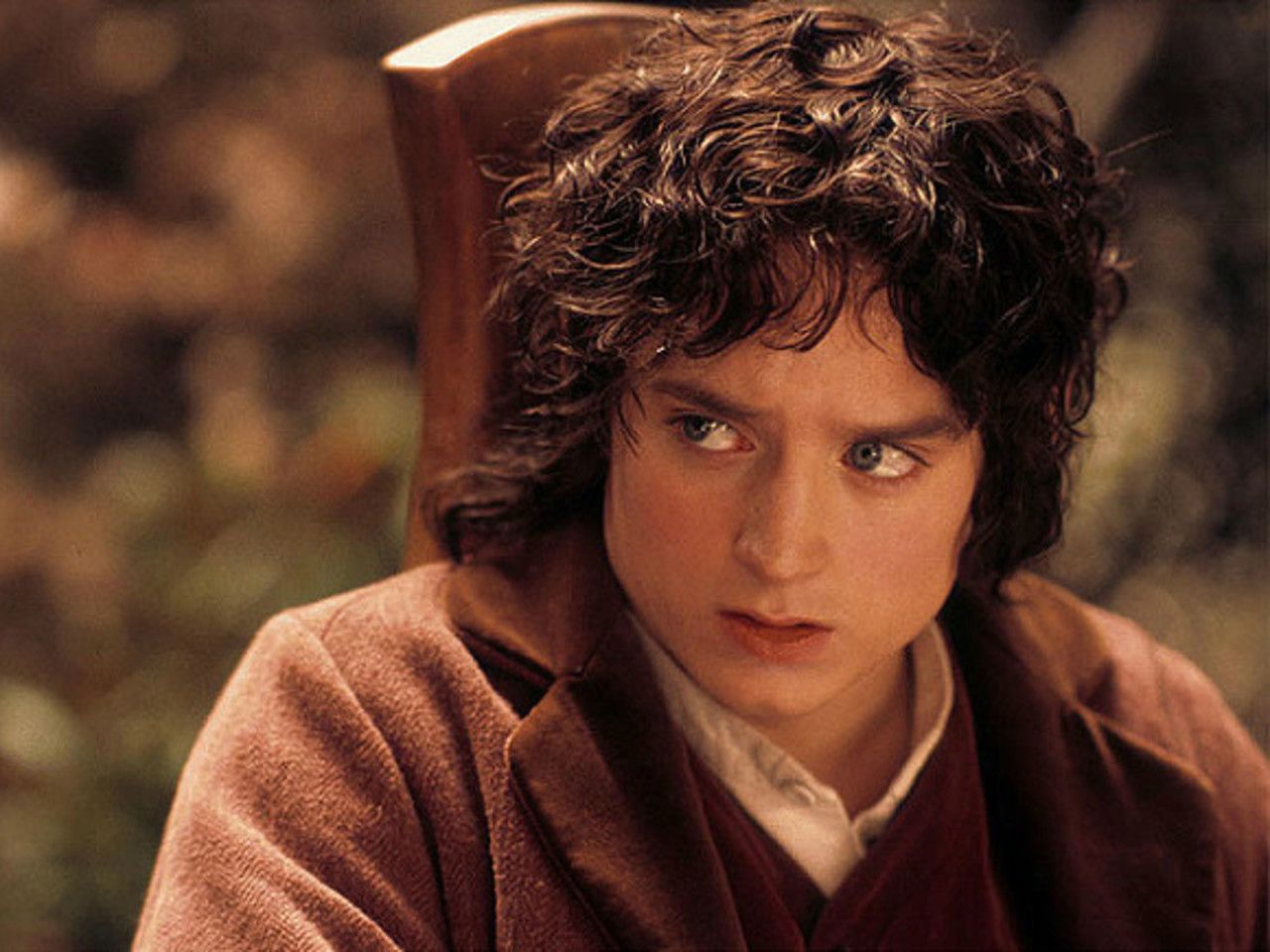 Фродо Бэггинс кадры из фильма