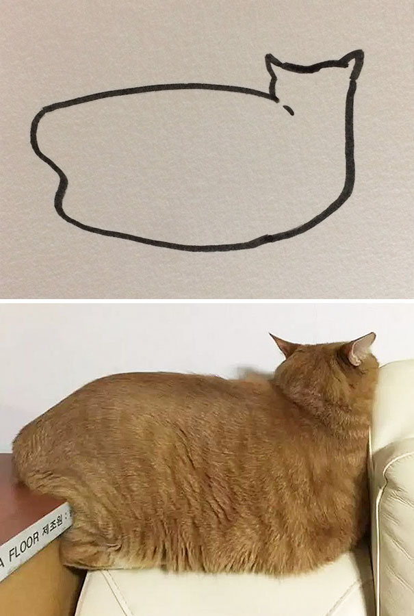 Нарисовал кота поставили 2