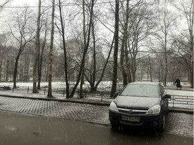 Снегопад в Петербурге
