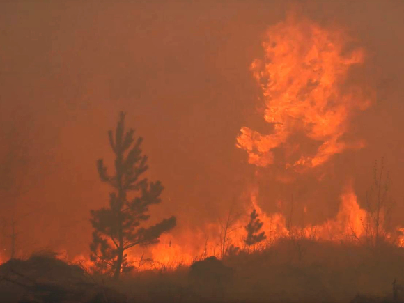 На Ямале при тушении лесного пожара нашли два обгоревших трупа