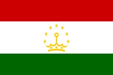 Посольство Таджикистана не подтвердило гибель своих граждан на пожаре в Подмосковье