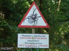 Роспотребнадзор рассказал, в каких районах Петербурга клещи чаще кусают людей