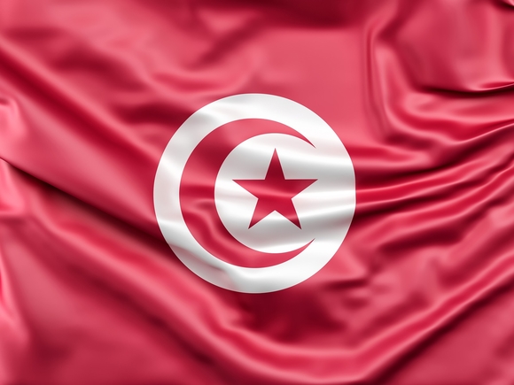 Президент Туниса обвинил в коррупции и уволил 57 судей