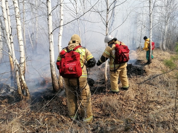 Количество пострадавших от огня дачных участков в Хакасии превысило 530