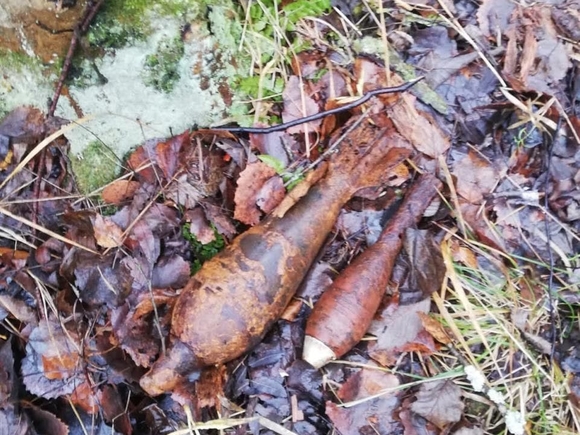 В Красногвардейском районе в одном из дворов обнаружен схрон боеприпасов