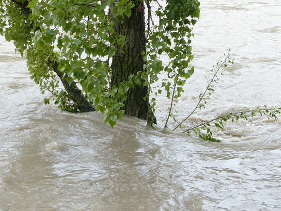 Якутск под угрозой затопления — уровень воды поднялся выше критического