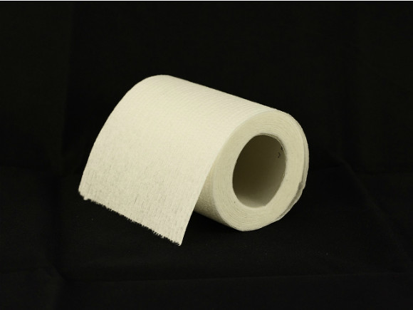 Психологи объяснили ажиотаж вокруг туалетной бумаги