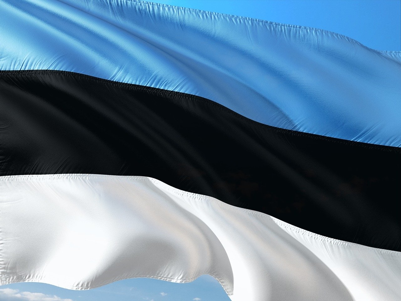 флаг эстонии фото
