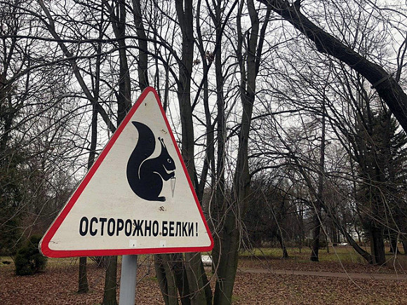 Что будет с человеком если он не будет выходить на улицу. Смотреть фото Что будет с человеком если он не будет выходить на улицу. Смотреть картинку Что будет с человеком если он не будет выходить на улицу. Картинка про Что будет с человеком если он не будет выходить на улицу. Фото Что будет с человеком если он не будет выходить на улицу