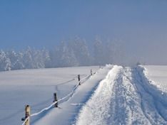 На Алтае из-за месяца снегопадов от нехватки продуктов страдают жители четырех районов (видео)