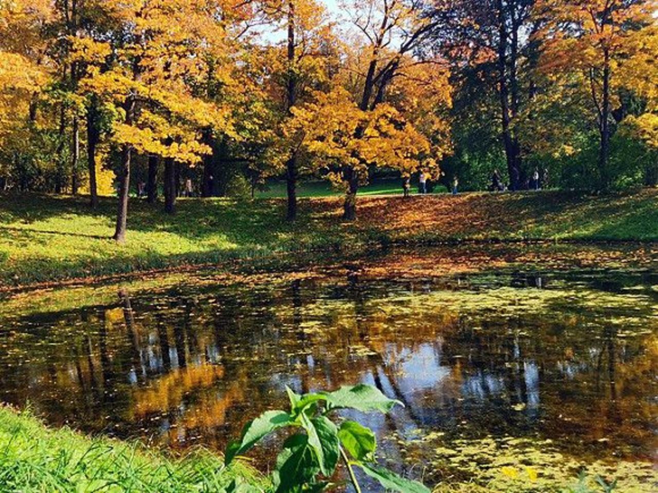 Времена года осень длится