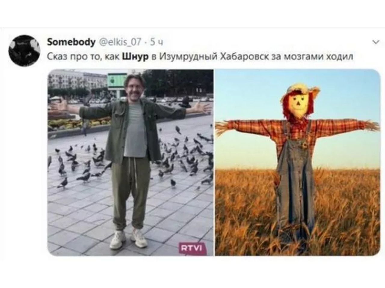 Шнур жили плохо