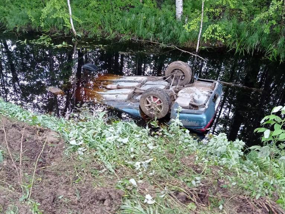 В Томской области в канаве утонули пять человек