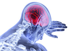 Медики: Хронический стресс может вызвать воспаление мозга