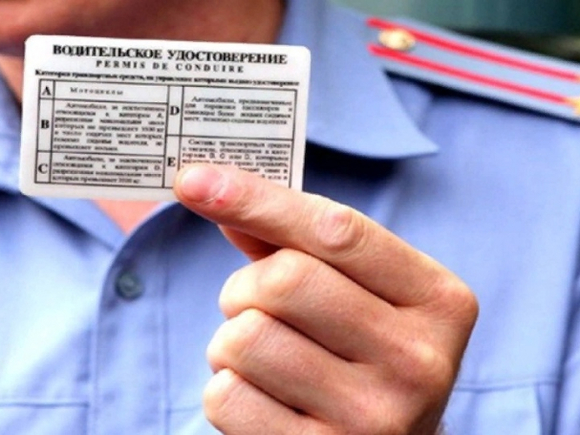 В России рассказали о новом формате водительских прав с 1 октября