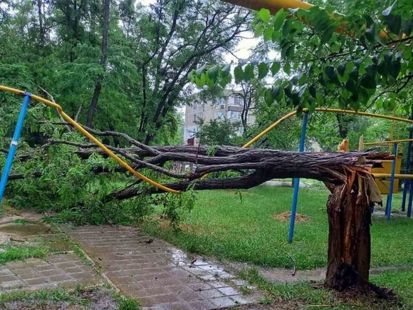В Курске подростку пропороло живот упавшее во время урагана дерево
