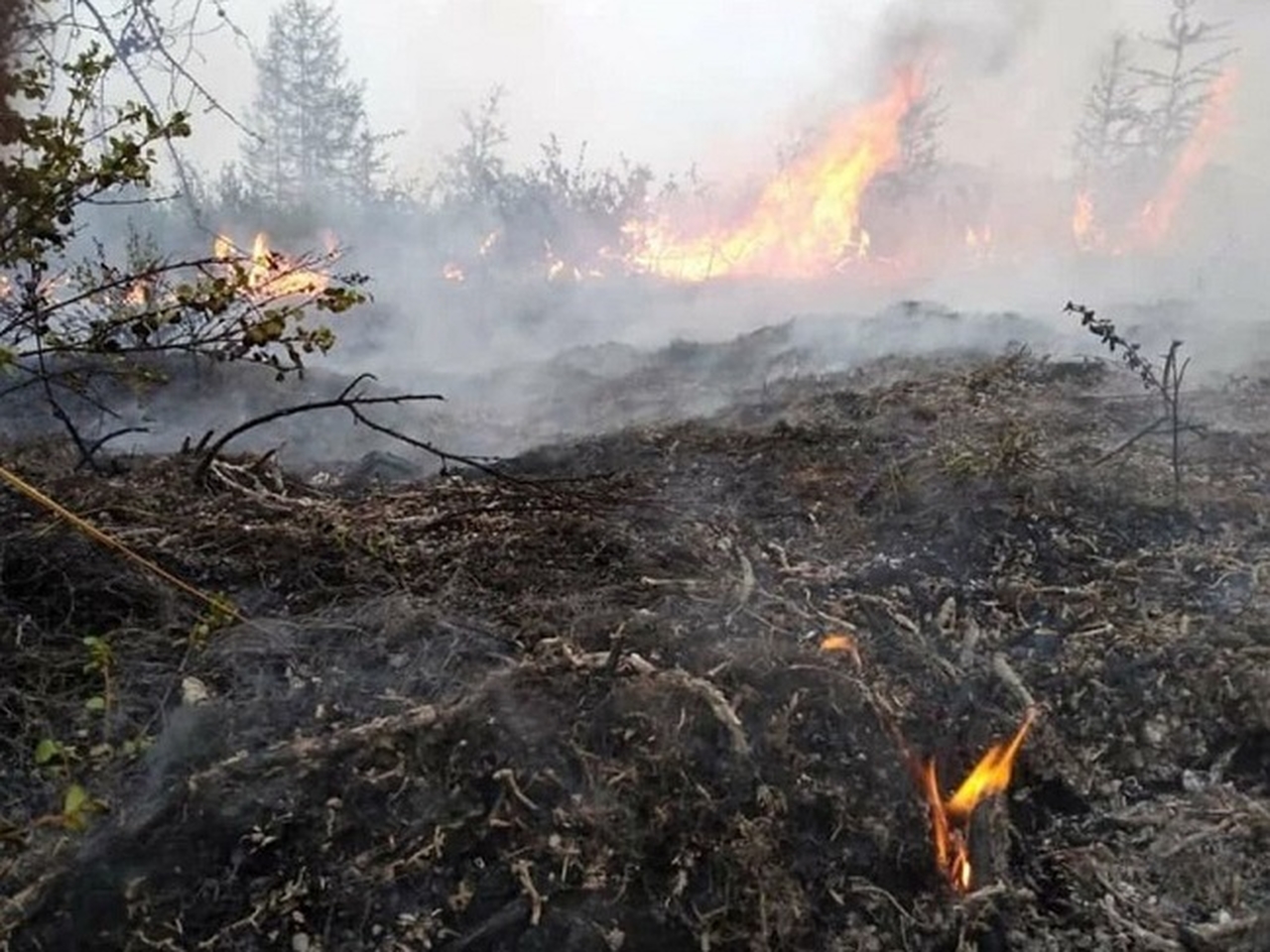 Пожары в лесах Якутии 2021