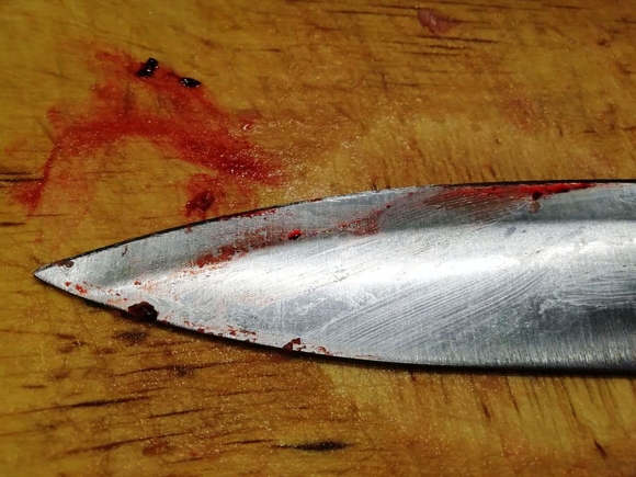 Жительница Ленобласти убила сожителя ударом ножа в пах
